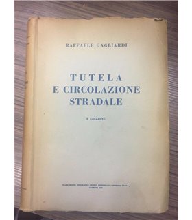 Tutela e circolazione stradale