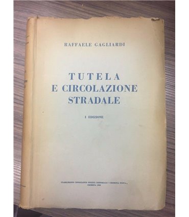 Tutela e circolazione stradale