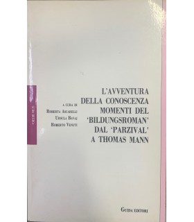 L'avventura della conoscenza. Momenti nel Bildungsroman dal Parzival a Thomas Mann.
