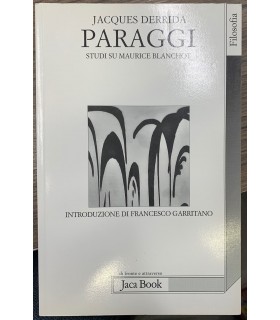 Paraggi. Studi su Maurice Blanchot.