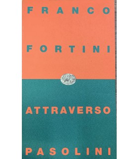 Attraverso Pasolini.