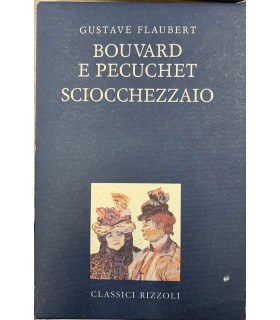 Bouvard e Pecuchet. Sciocchezzaio. Dizionario dei luoghi comuni. Catalogo delle idee chic.