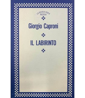 Il labirinto.