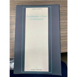 Feudalismo e Stato rivoluzionario