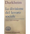 La divisione del lavoro sociale.