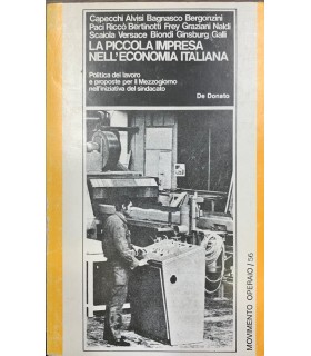 La piccola impresa dell'economia italiana.