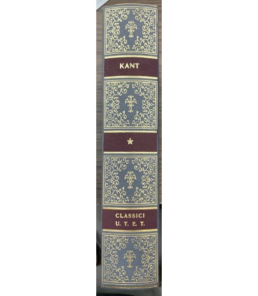 Critica della ragion pura.