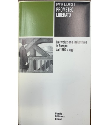 Prometeo liberato.