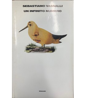 Un infinito numero.