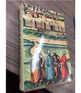 Saladino. Il più eroe dell'Islam