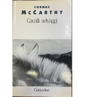 Cavalli selvaggi.