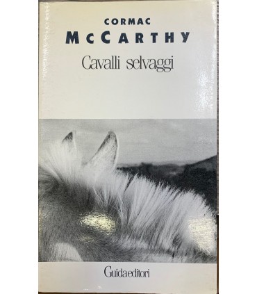 Cavalli selvaggi.