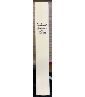 Descrizione dello stato antico ed attuale del contado di Molise.