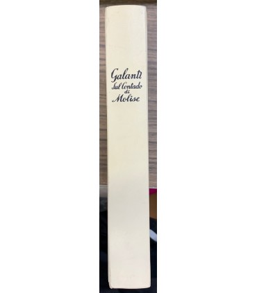 Descrizione dello stato antico ed attuale del contado di Molise.