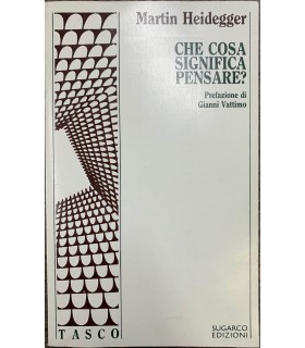 Che cosa significa pensare?