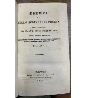 Esempi di bello scrivere in poesia.