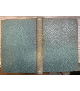 Armonia in grigio ed in silenzio. Poema.