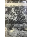 Gli alberi sono cresciuti.