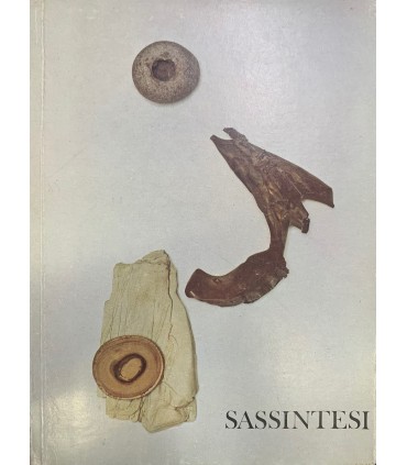 Sassintesi. Poesia Plastica futurista.