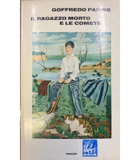 Il ragazzo e le comete.