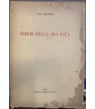 Esilio della mia vita.