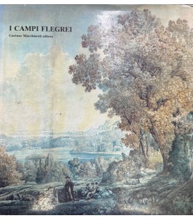 I  campi flegrei.