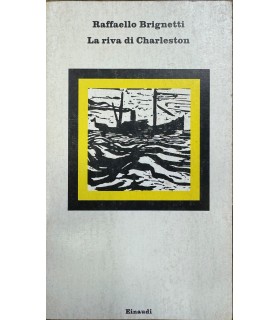 La riva di Charleston.