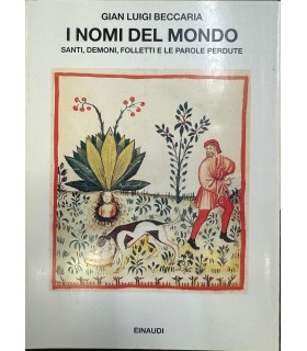 I nomi del mondo. Santi, demoni, folletti e le parole perdute.
