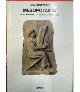 Mesopotamia. La scrittura la mentalità e gli Dei.