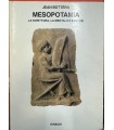 Mesopotamia. La scrittura la mentalità e gli Dei.