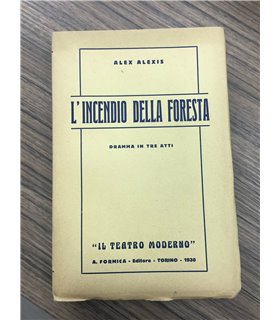 L'incendio della foresta