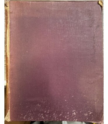 I modi anime e simboli.