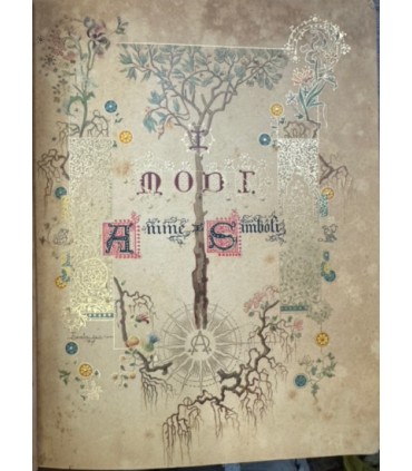 I modi anime e simboli.