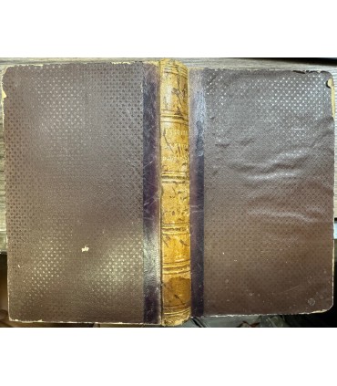 La mente di Giambattista Vico.