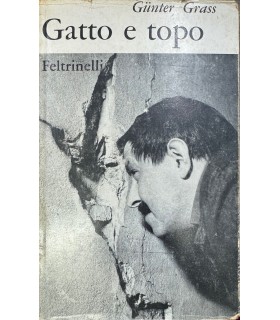 Gatto e topo.