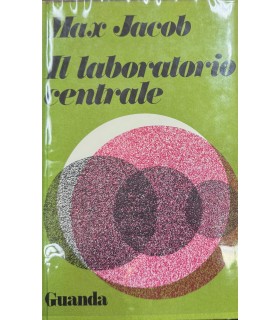 Il laboratorio centrale.