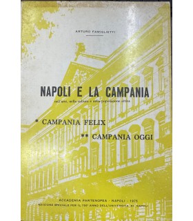 Napoli e la Campania nell'arte nella cultura e nella popolazione attiva.