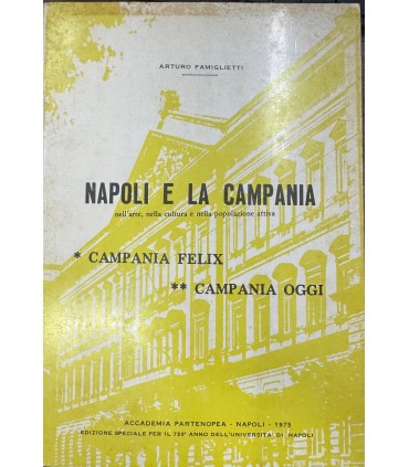 Napoli e la Campania nell'arte nella cultura e nella popolazione attiva.