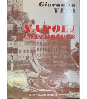 Napoli controluce.