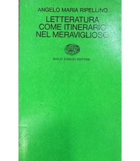 Letteratura come itinerario nel meraviglioso.
