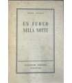 Un fuoco nella notte.