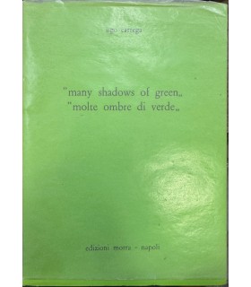 many shadows of green "molte ombre di verde".