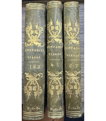 Primo viaggio di F.F.V. nell'interno dell'Africa per capo buona speranza.