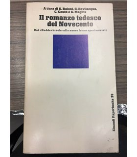 Il romanzo tedesco del Novecento