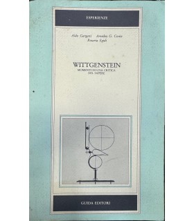 Wittgenstein. Momenti di una critica del sapere.