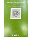 Psicologia dell'organizzazione.