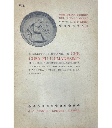Che cosa fu l'umanesimo.