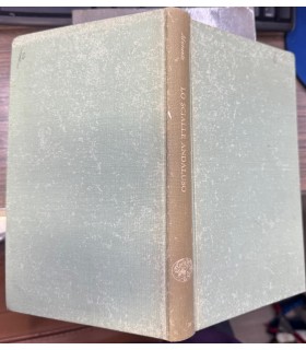 Lo scialle andaluso.