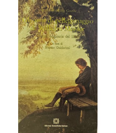 Gli anni del pellegrinaggio di Wilhelm Meister ovvero Coloro che rinunziano.