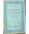 La violetta notturna.